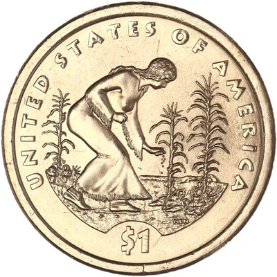 Dólar Sacagawea nativo americano D 2009 BU ver fotos F930 Foto 1 de 3