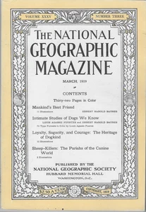 Dogs Canine Special Issue National Geographic 1919 Breeds Wolves Original NM! - Imagen 1 de 4