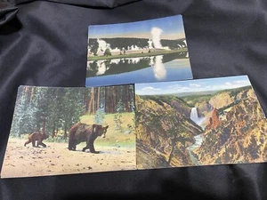20 postales gigantes de Yellowstone Park de colección de los años 40 osos Gran Cañón Geyser Hill - Imagen 1 de 8