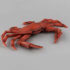 Landscape Sea Animal Figurine Red Crab Model Simulation Crabs Kids Cognition