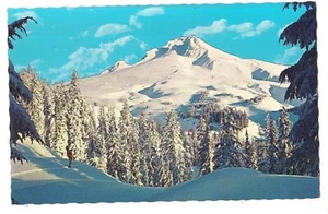 WINTER WONDERLAND Rugged Rocky Mountains CO Colorado Springs Postcard - Picture 1 of 2
