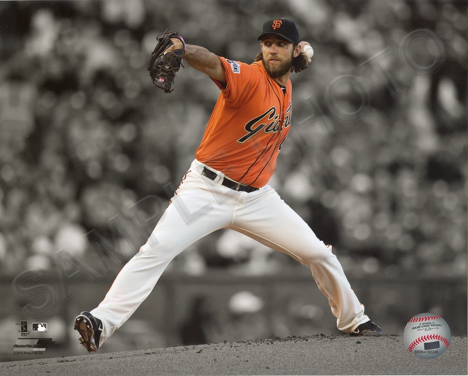 Foto de 8x10 de acción sin firmar de los Gigantes de San Francisco de Madison Bumgarner 2015 Foto 1 de 1