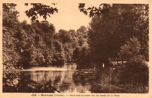 CPA 85 - MERVENT (Vendée) - 632. Sous-Bois forestier sur les bords de la Mère - Picture 1 of 2