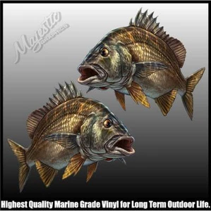 BREAM - 250mm x 190mm - PAIR - DECALS - Picture 1 of 1