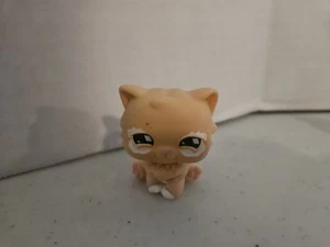 Littlest Pet Shop #490 Naranja Gato Persa Naranja Ojos Diamante LPS AUTÉNTICO - Imagen 1 de 2