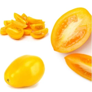 Tomato Yellow Roma 20+ seeds HEIRLOOM vegetable garden SPRING SUMMER easy grow - Picture 1 of 4