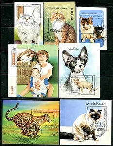 Gatos Colección Usado x7 S/S - Imagen 1 de 1