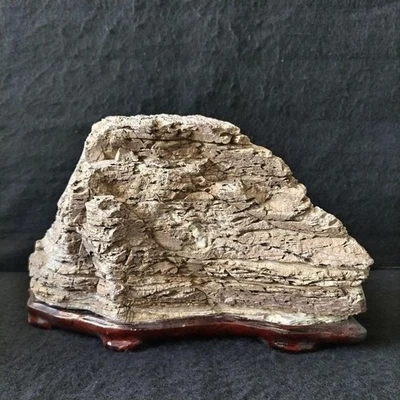 Piedra japonesa SUISEKI patrón único 10,2 pulgadas de ancho roca de visualización natural Foto 1 de 4