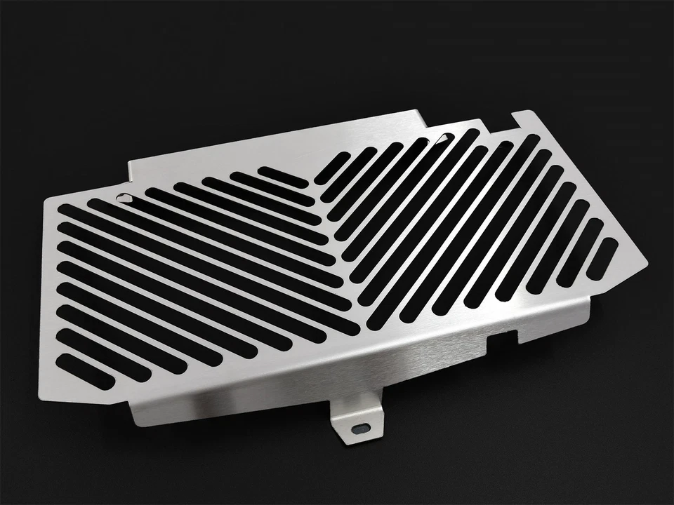 Zieger Radiator Cover for BMW F 650 GS 08-12/F 700 GS 13-18Kühlergrill Clean Foto 1 de 1