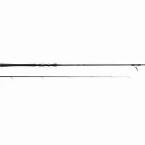 Tenryu POWER MASTER Sand Walker PMS9102S-ML Spinning Rod - Picture 1 of 2