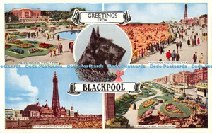 R303270 Greetings From Blackpool Italian Gardens Stanley Park Tower Promenade An - Picture 1 of 4