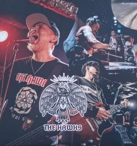 HAWKS - HOMETOWN 7' 300 Ex. - Bild 1 von 1