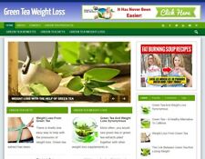 Green Tea Turnkey Blog Niche Ready Made Website Affiliate Income