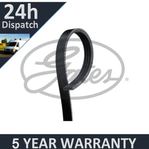 Gates V-Ribbed Belts Fits Honda Civic (2003-2005) 1.3 5 Year Warranty G2376 - Picture 1 of 7