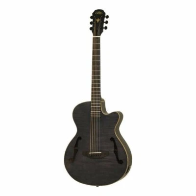 ARIA FET-F2 Stain Black Electric Acoustic Guitar - Image 1 of 4