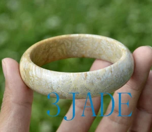 57mm Natural Fossilized Coral Gemstone Bangle Fossil Coral Bracelet - Picture 1 of 8