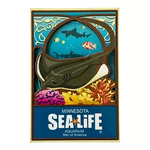 Minnesota Sea Life Aquarium Mall of America magnete legno raro ultimi - Foto 1 di 5