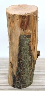 8 Zoll Apfelholz Baumstamm Brocken Stab Schnitzen Handwerk Treibholz gerade 2 1/2 ~ 2 3/4 Zoll D - Bild 1 von 13