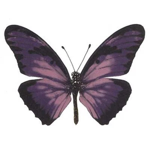 Calcomanías de cerámica de tobogán acuático con sobreesmalte de mariposa púrpura vibrante Select-A-Size - Imagen 1 de 5