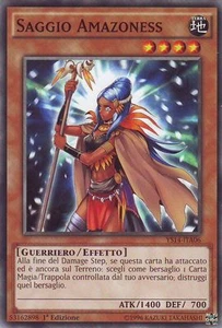 YU-GI-OH! YS14-ITA06 Saggio Amazoness Comune 1° edizione Italiano - Picture 1 of 1