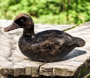 Vintage 1940er Quebec Bluebill Erpel Ente Köder Tack Augen geschnitzte Schwanzfedern - Bild 1 von 10