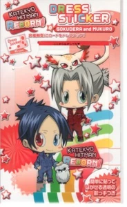 Vestido de tarjeta pegatina de plástico Katekyo Hitman Reborn anime Gokudera Hayato Mukuro - Imagen 1 de 3