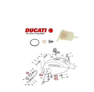 Junta de filtro de gasolina Ducati Monster 400 600 750 900 tapa de depósito - Imagen 1 de 4