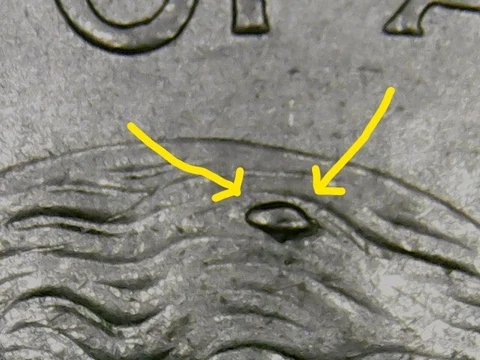 2004 P Florida State, Quarter, Obverse, Die Chip, Obverse Die Chip,          A-7 Cover