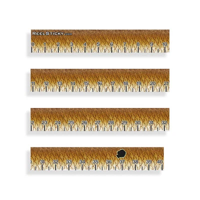 REAL STICKY Redfish Ruler Sticker Measuring Tape Measure Fishing Boat Red Drum Fish Decal