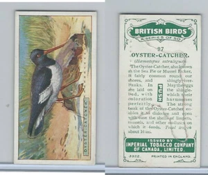C4 Imperial Tobacco, British Birds, 1923, #27 Oyster Catcher - Picture 1 of 1