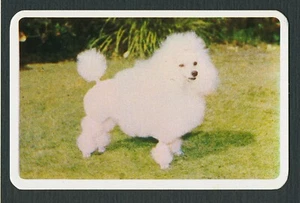 POODLE GOLDEN FLEECE ( AUSTRALIA ) 1972 SWAP TRADE CARD #27 - Picture 1 of 2
