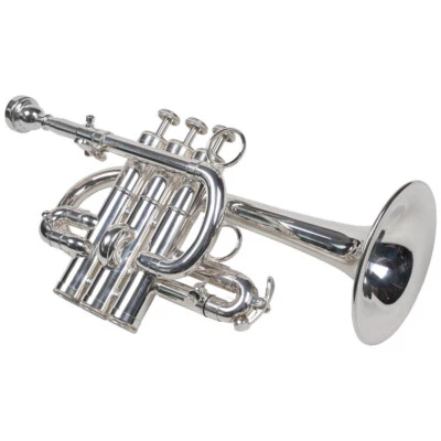 Karl Glaser Hoch B/A Konzert Trompete versilbert 2 Stimmzüge Koffer & Mundstück - Bild 1 von 4