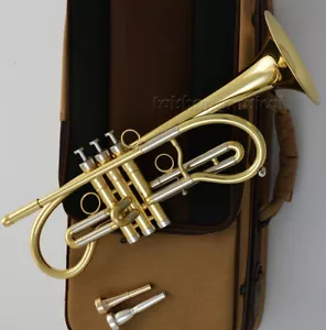 Advanced Brass Lacquered Trumpet Unique Horn WEIBSTER WTR-640 Large Bell - Picture 1 of 4