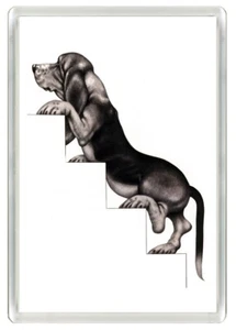 BASSET HOUND GOING UP STAIRS DOG ART NOVELTY FRIDGE MAGNET  GREAT GIFT - Picture 1 of 1