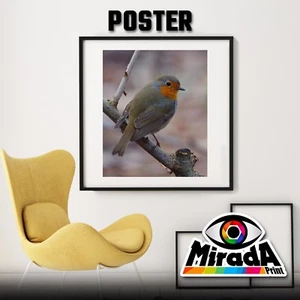 Affiches Robin Nature Zoom Bird Oiseau Papier FOTOGRAFICA35x35 50x50 70x70 - Bild 1 von 1