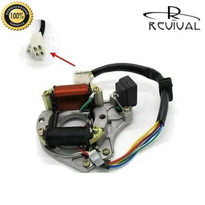 Stator Flywheel Magnet 2 Reels For Buyang 50 - 125 - Imagen 1 de 1