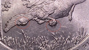 2015 P Kisatchie ATB Quarter with Reverse Die Chip Error on Claw & Tail (#77453) - Picture 1 of 10