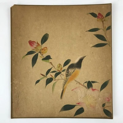 Reproducción de impresión de arte japonés de colección Hoshun Yamaguchi Kacho pintura de pájaro P360 Foto 1 de 4