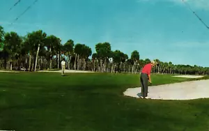 Golf Postcard Dea Pines Plantation Golf Course Hilton Head Island South Carolina - Picture 1 of 4