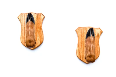 Taxidermy Deer Hoof Foot Feet Gun Rack on Oak Plaques Gunrack - Image 1 of 3