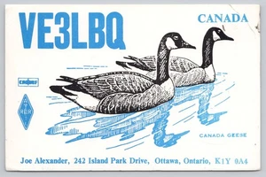 Ham Radio QSL VE3LBQ Blue Canada Geese Ottawa Ontario Canada Postcard - Picture 1 of 2