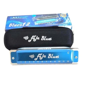 EASTTOP Fala Blues Harmonica Diatonic 12 Holes Harp Mouth Organ New Design - Picture 1 of 12