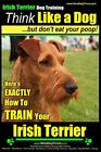 Irish Terrier Dog Training Think Li Pearce Mr Paul