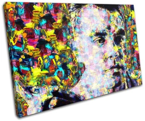 Morrissey Smiths Pop Icónico Celebridades UN SOLO LIENZO ARTE DE PARED Impresión de imágenes - Imagen 1 de 1