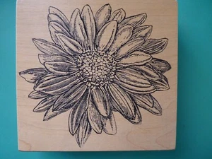 Detaillierte Blumenblüte, X-Large MAGENTA Stempel - Bild 1 von 2