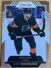 2022-23 22-23 UD Series 1 Noah Cates O-Pee-Chee OPC Rookie Glossy Bronze R-2 RC