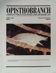 Opisthobranch A Monthly Publication Of Mollusk And Marine Life April 1984 - Imagen 1 de 2