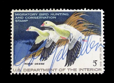 US Federal Duck Stamp Scott RW44 Geese 5 Dollars 1977 Used NG - Image 1 of 2