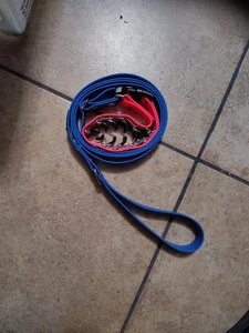 Dog Prong Choke Collar Training Quick Release Buckle M Pink Blue Leash Waterproo - Picture 1 of 3