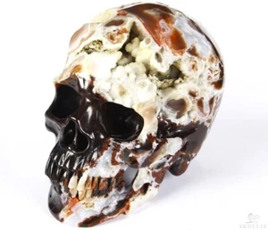 RARE GEODE LIFESIZED 6.8" Black Zebra Agate Carved Crystal Skull Super Realistic - Picture 1 of 12